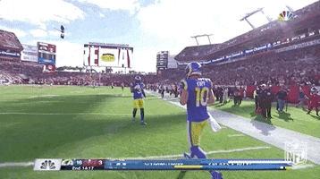 Los Angeles Rams Football GIF by NFL