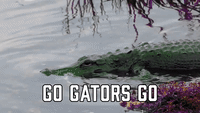 Go Gators Go