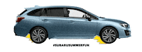 summer adventure Sticker by SubaruItalia
