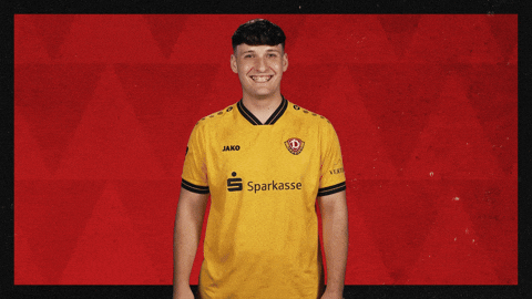 Dynamo Dresden Hello GIF by Bundesliga
