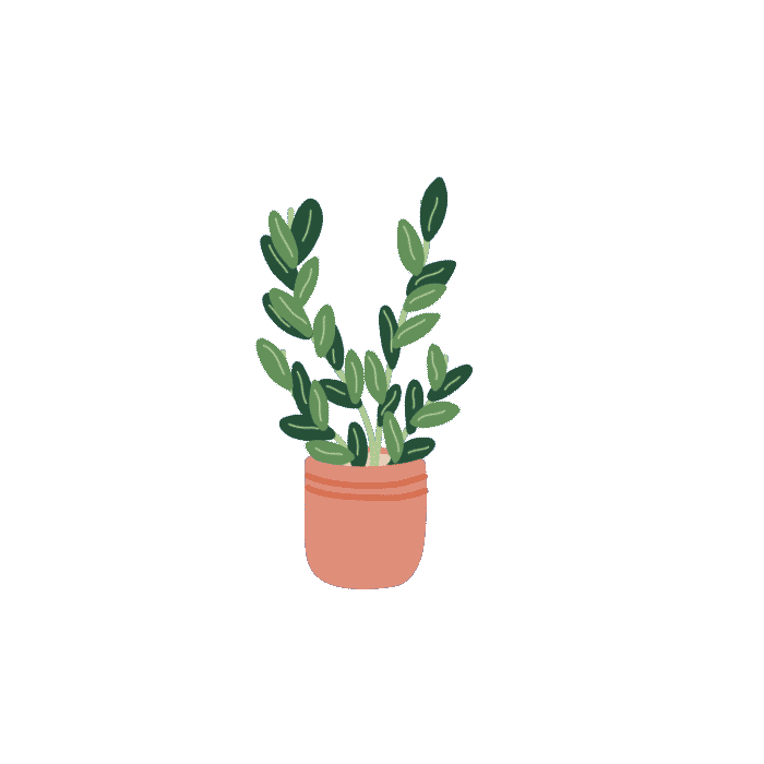 Zz Plant Sticker