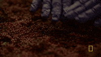 #origins #natgeo GIF by National Geographic Channel