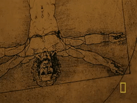 #origins #natgeo GIF by National Geographic Channel