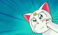 sailor moon artemis GIF