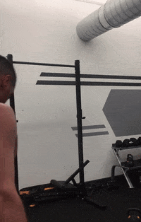 GIF by BarBend