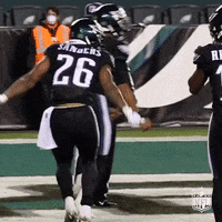 Regular Season Dancing GIF by NFL