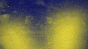 Baseball Mvp GIF by Charros de Jalisco