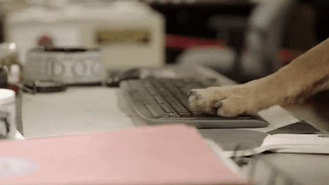 angie tribeca GIF by REBEKAH