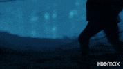 Crime Fighters Dc GIF by Max