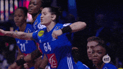 team happiness GIF by EHF