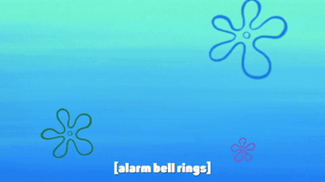 season 9 little yellow book GIF by SpongeBob SquarePants