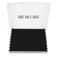 Cadeautje Sticker by 100%LEUK