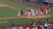 Regular Season Win GIF by MLB