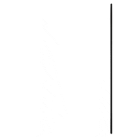 Watch Watching GIF by tungwood