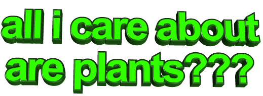 Care About Valentines Day Sticker by AnimatedText