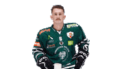 Goal Hockey Sticker by EC Bregenzerwald