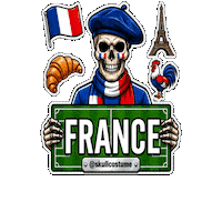 France Soccer Sticker