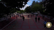 GIF by Cal