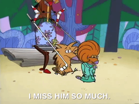 nickrewind giphydvr nicksplat angry beavers giphyab017 GIF