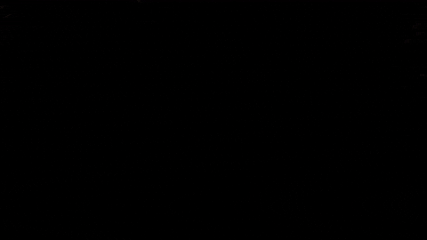 lacerqua giphyupload truffle truffles tartufo GIF