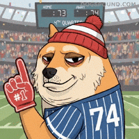 Celebrating Shiba Inu GIF by Doge Pound