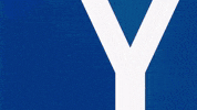 Soccer Goal GIF by Karlsruher SC