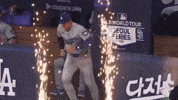 Major League Baseball Sport GIF by MLB