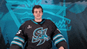 San Jose Love GIF by San Jose Barracuda