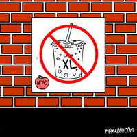 fox nyc GIF by Animation Domination High-Def