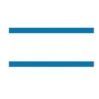 Spal Ferrara Forzaspal Sticker by SPAL