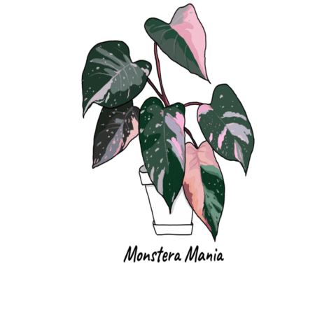 Plant Sticker by Monstera Mania