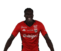 Ligue 2 Football Sticker by EA Guingamp