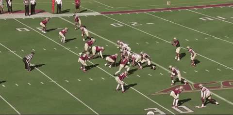 bson1011 giphygifmaker GIF