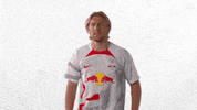 Football Dont Like GIF by RB Leipzig