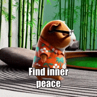 Peace Wisdom GIF by Guinea Gambino