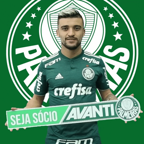 victor luis avanti GIF by SE Palmeiras