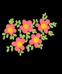 Estudioblackfisk estudioblackfisk GIF