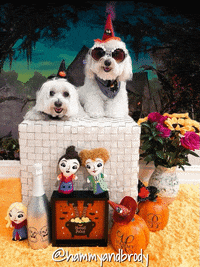 Halloween Dogs GIF by HammyandBrody