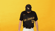 Cal State La Sport GIF by Cal State LA Golden Eagles