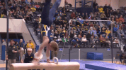 GIF by Michigan Athletics