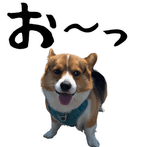 Corgi Wow Sticker