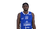 Sport Basketball Sticker by Basket_fi