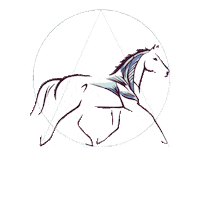 horse cheval Sticker by Dessus Dessous Sport