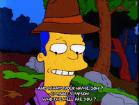 Season 2 GIF by The Simpsons