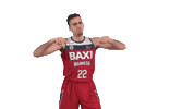 Liga Endesa Basketball Sticker by ACB