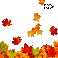 Tree Spain Sticker by España Fascinante