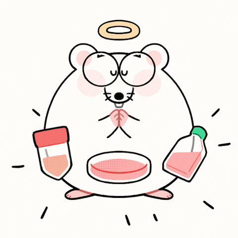 DoctorCorio giphyupload mouse pray rat GIF