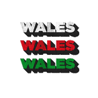 Six Nations Sport Sticker by Guinness