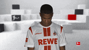 Line Up Smile GIF by Bundesliga