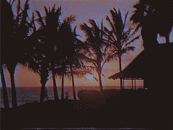 palm trees vintage GIF by rotomangler